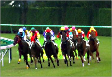 SD指数・競馬最新情報 トップイメージ